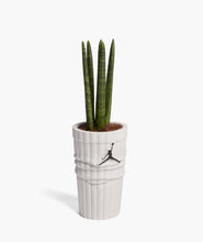 Load image into Gallery viewer, JORDAN SOCK PLANTER WHITE