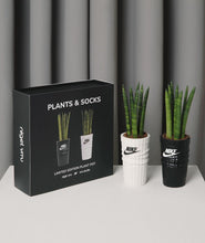 Load image into Gallery viewer, SOCK PLANTER SET
