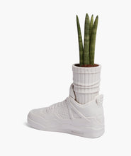 Load image into Gallery viewer, AJ4 SNEAKER PLANTER
