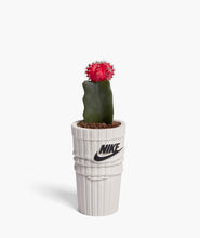Load image into Gallery viewer, AJ1 TS SNEAKER PLANTER
