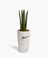 Load image into Gallery viewer, SOCK PLANTER WHITE EDITION
