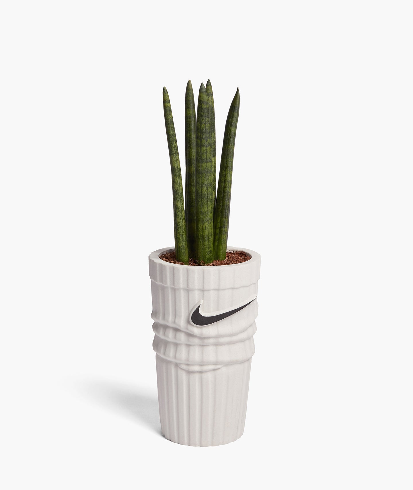 SOCK PLANTER WHITE EDITION