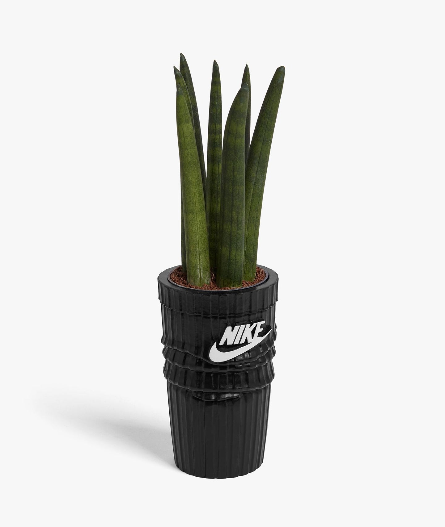 SOCK PLANTER BLACK EDITION